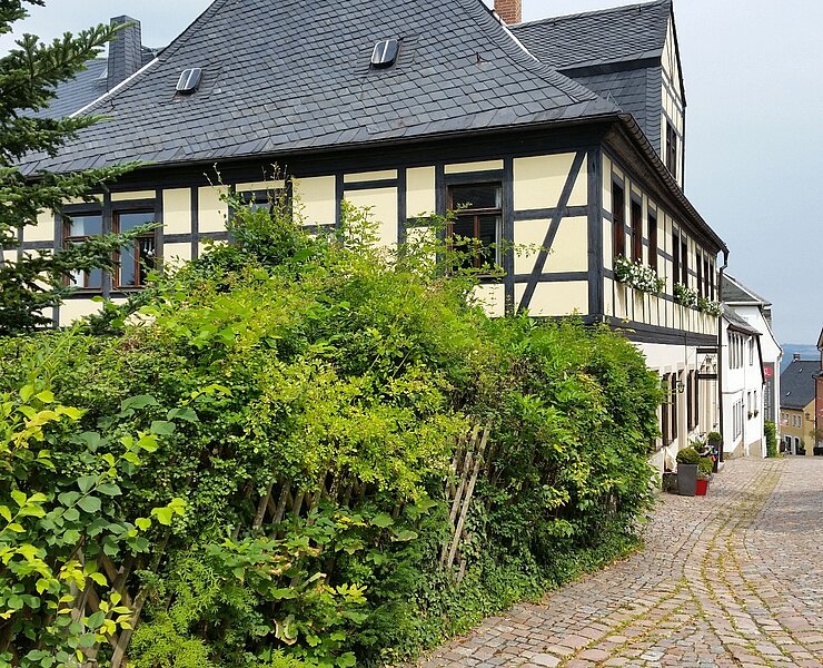 Blick in die Altstadt (Doreen Fiebig)
