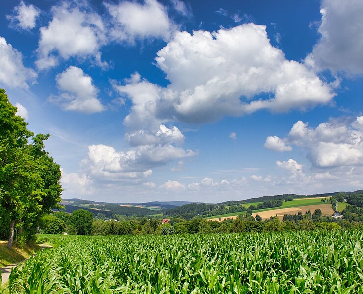 Blick zurück nach Schlettau ()