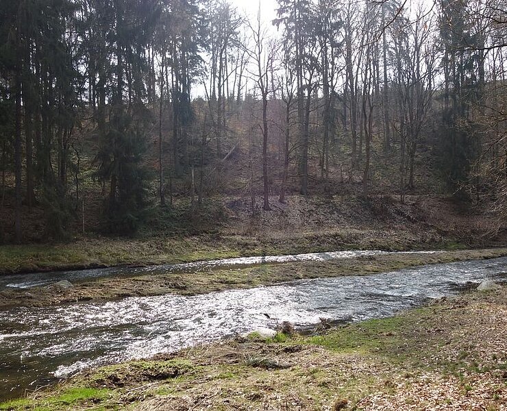 Die Mulde bei Kleinvoigtsberg. Hinter dem Ufer ist der Verlauf des Aufschlaggrabens der Grube "Alte Hoffnung Gottes" zu erkennen. (Jens Grigoleit, Fremdenverkehrsverein Freiberg)