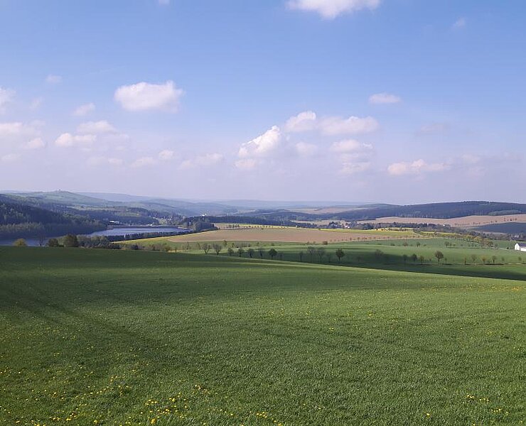 Blick vom Aussichtspunkt (Undine Weise Neuhausen Tourismus)