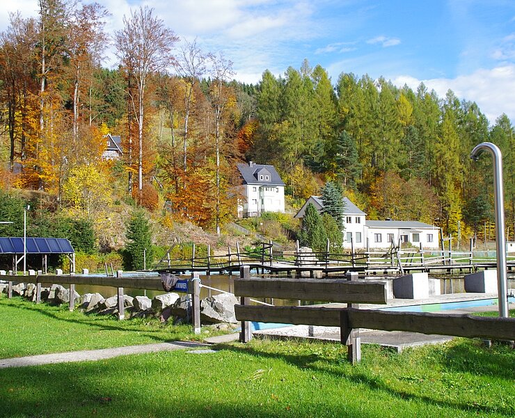 Saisonende im Öko-Bad Rechenberg-Bienenmühle (Isabell Dathe,  Sächsische Landsiedlung GmbH)