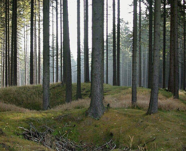 Bergbaulandschaft Joachimsthal - Haldenzüge des Schweizer Erzgangs (WFE GmbH Annaberg-Buchholz)