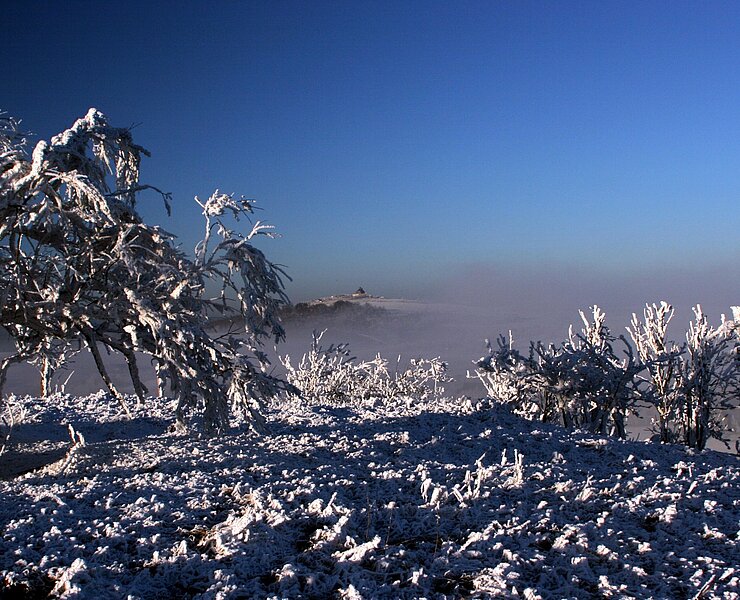 Blick vom Ahornberg zum Schwartenberg (Fotografin Eva Schalling, Seiffen)
