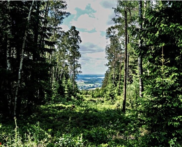 Blick vom Hirschenstein auf das Kirchberger Granitgebiet ()