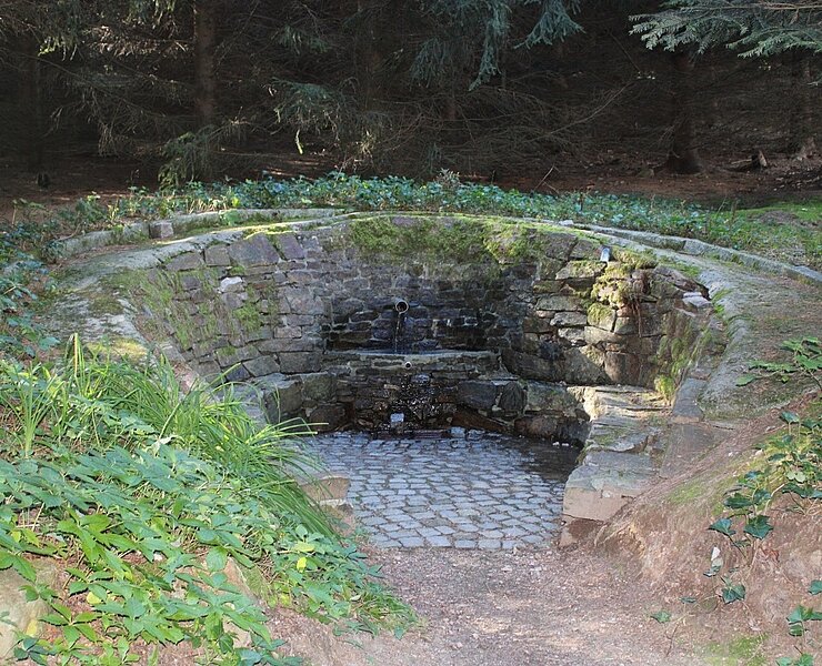  ()