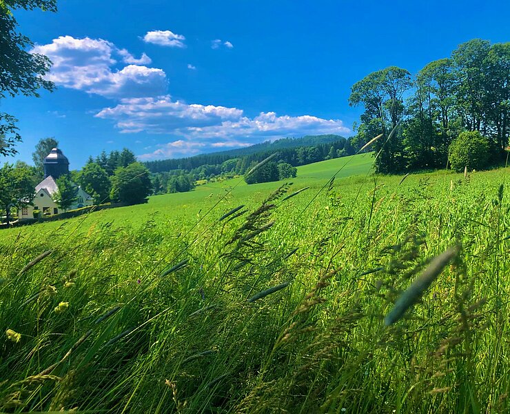 Blick vom Kirchsteig aus auf den Scheibenberg (Andreas Göbel)