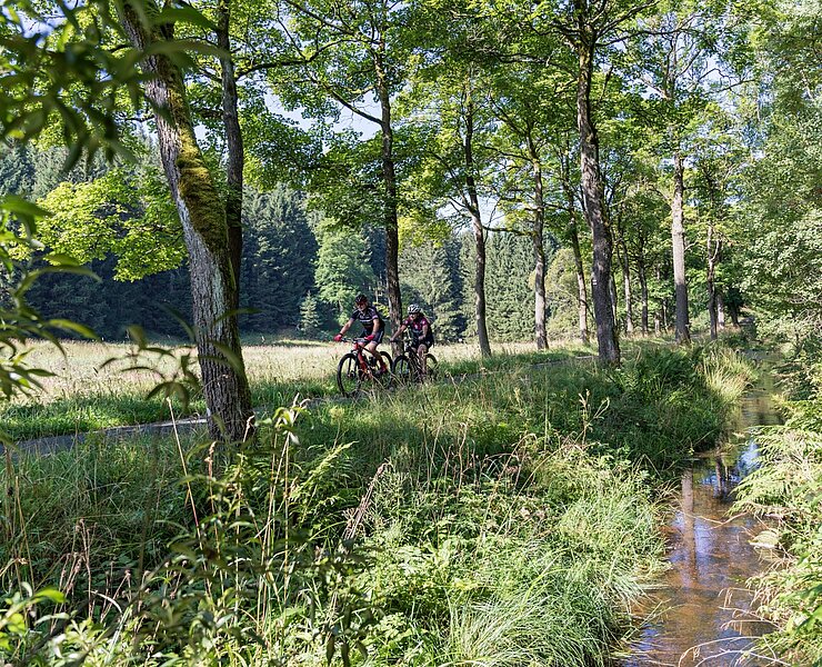 Bad in der Natur - entlang Freiberger Mulda ( am Kamm) (Tourismusverband Erzgebirge e.V. /Thomas Rathay )