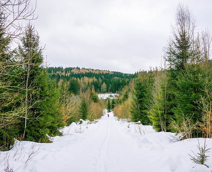 Winterwandern Erlabrunn (Tobias Rudelt)