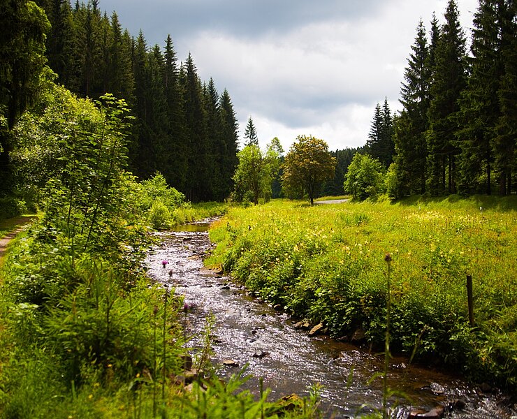 Mulde bei Holzhau (A. Klich)