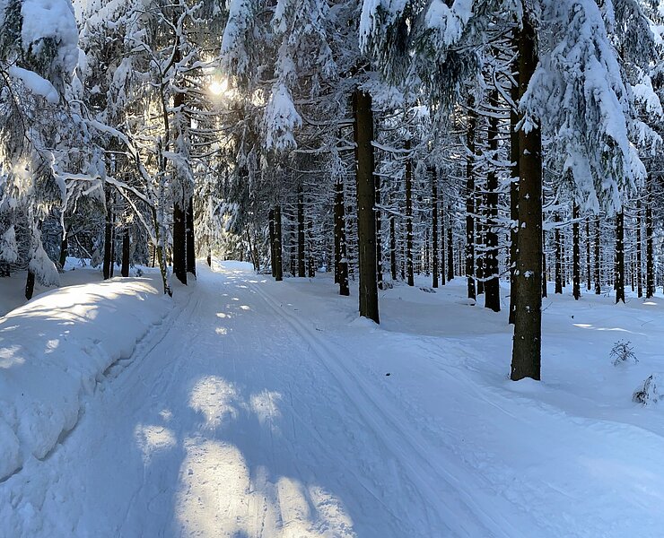 Loipe L2 Winter ()