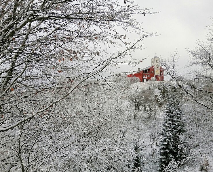 Mückentürmchen im Winter ()