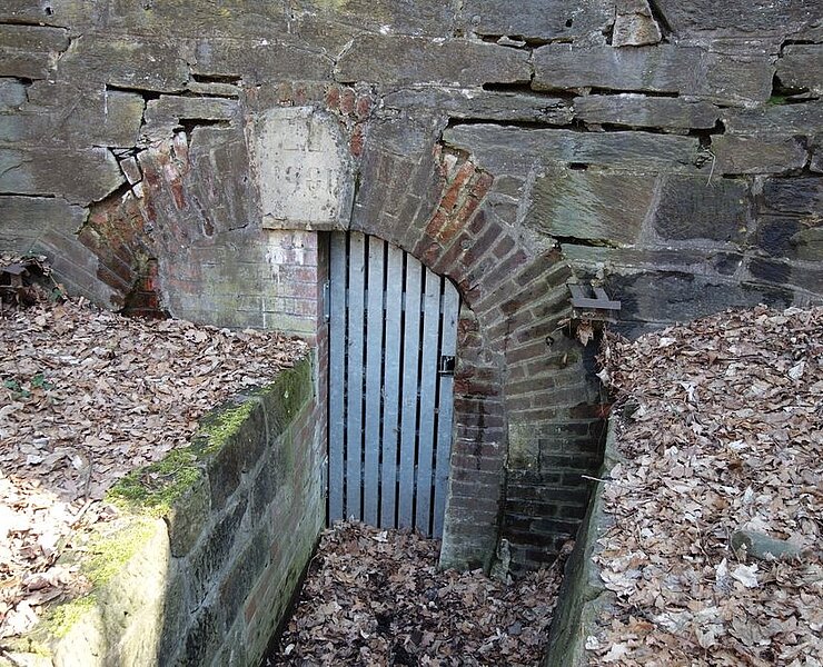 Nördliches Mundloch der Halsbrücker Rösche (Jens Grigoleit, Fremdenverkehrsverein Freiberg)