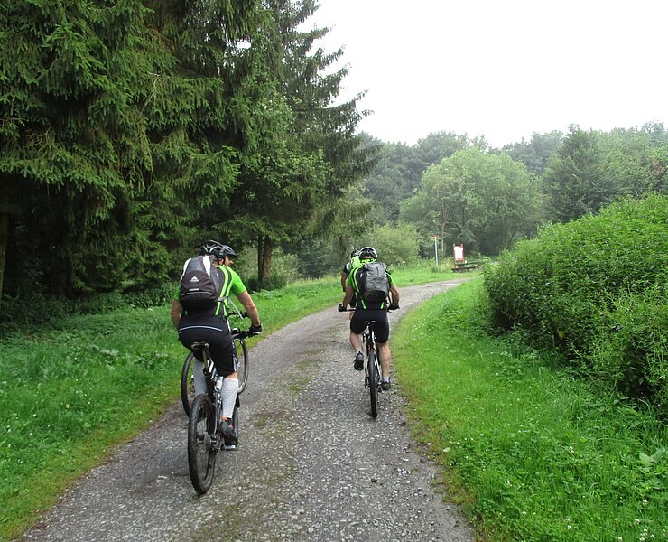 Radweg bei Konzen (Thomas Ritter)