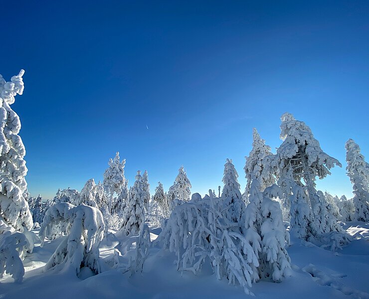 Winter kleiner Fichtelberg (Steve Görner)