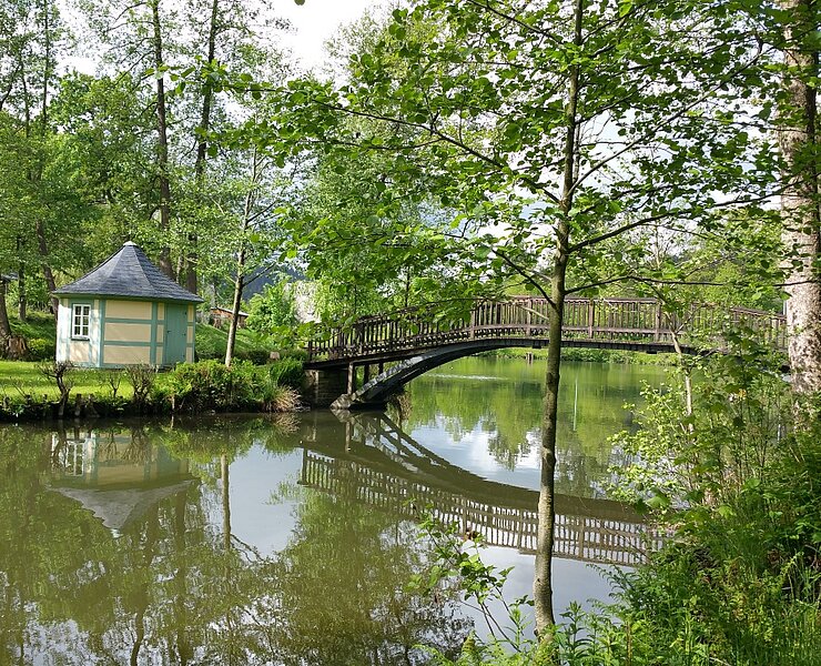Insel mit Brücke im Schloßpark (Matthias Drechsel)