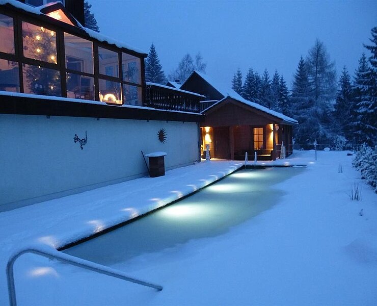 Teich im Winter ()