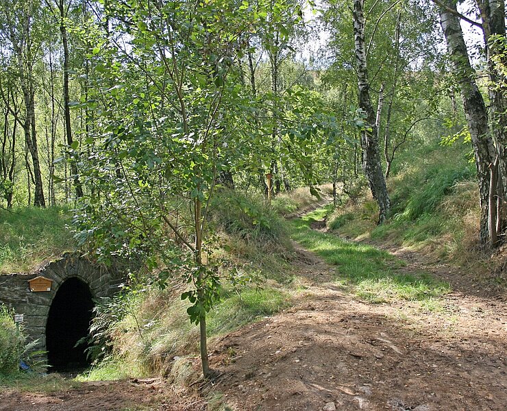 Transportweg in das Muldental - Mundloch des Oberen Erzbahnstolln (WFE GmbH Annaberg-Buchholz)