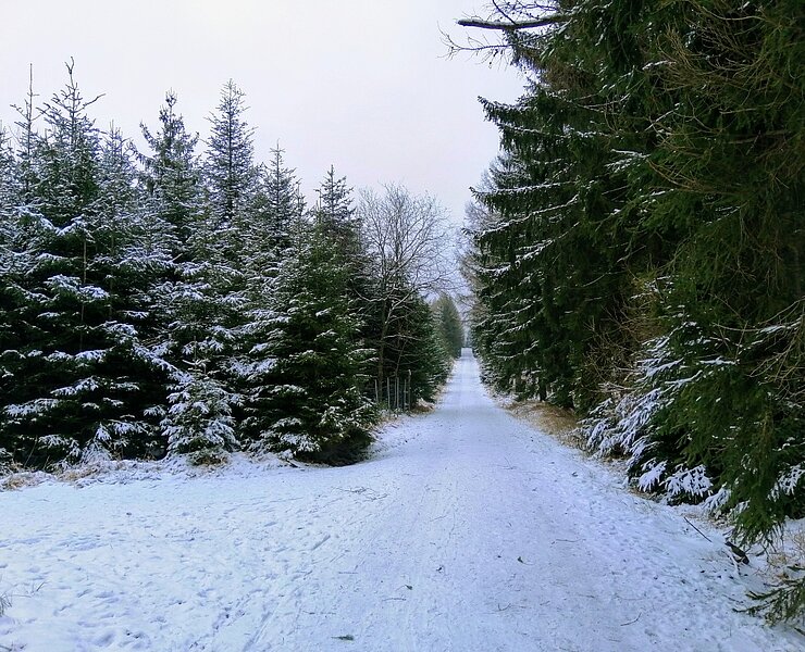 Winterwanderweg zur Tellkoppe - Langer Weg ()