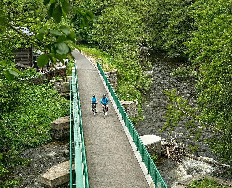 Querung Zwickauer Mulde (Zweckverband "Muldentalradweg")