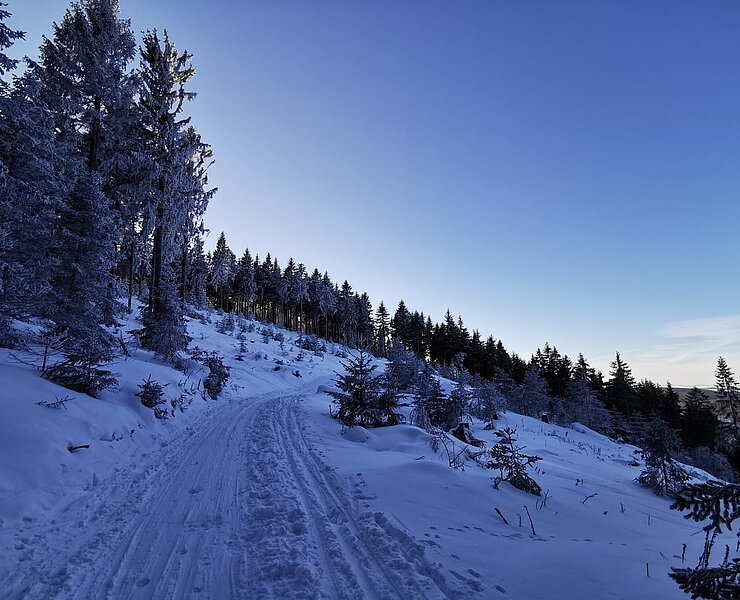 Langer Weg Richtung Tellkoppe Winter (Sandra Böhme)
