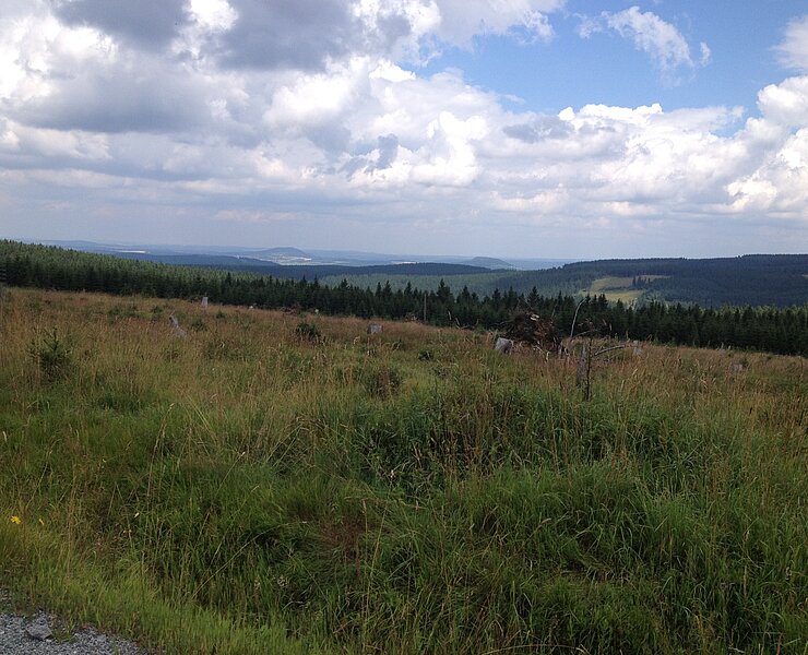 Blick über den Erzgebirgskamm (Rainer Wesely)