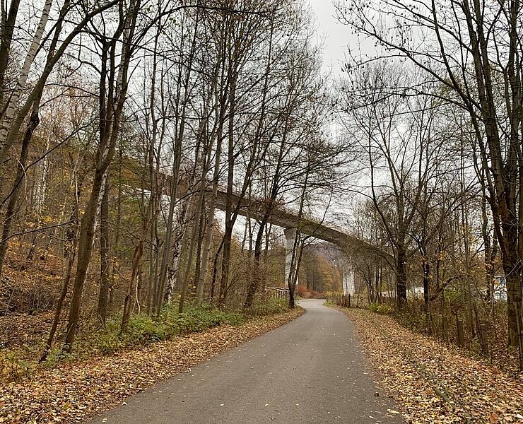 Talbrücke Alberoda (Ines Schieck)