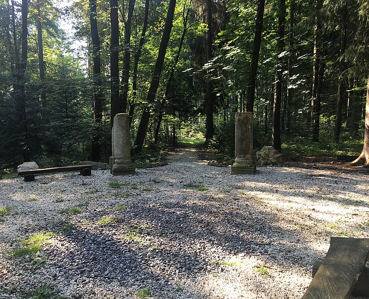 Wettinhain im Buchholzer Wald (Mario Dammköhler)