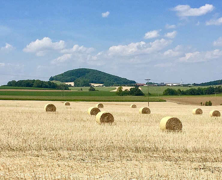  (Bianca Braun, Stadt Glashütte)