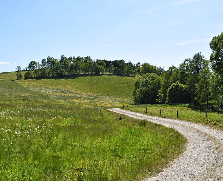 Wanderweg und Ausblick in Elterlein (C. Bergelt, Greifensteinregion)