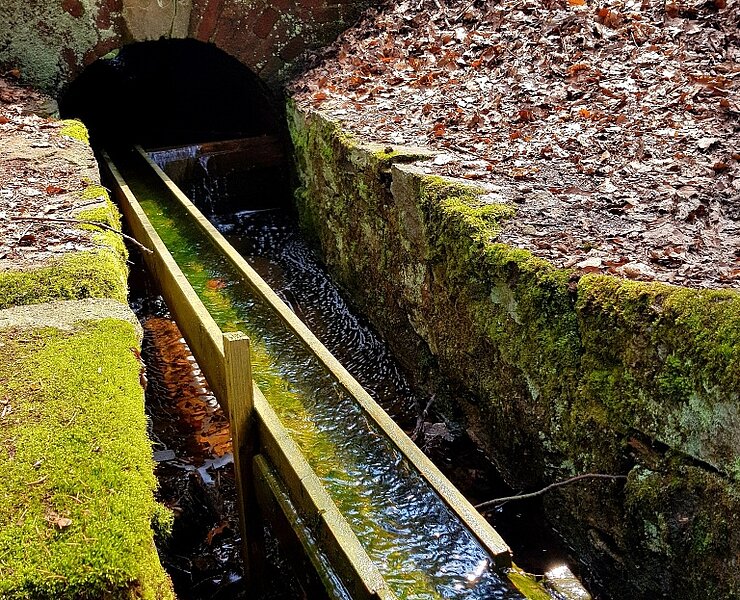 Wasserrad im Landschaftsschutzgebiet Erzengler Teich (Silberstadt Freiberg_Carolin Zimmermann)