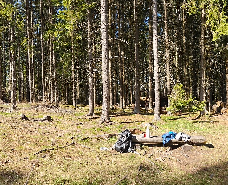 Am Hohen Stein oberhalb von Bad Elster (Steffen Thränert, Natur- und Landschaftsführer)