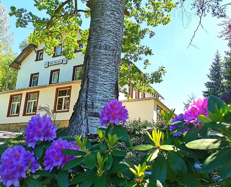 Ansicht Haus ()