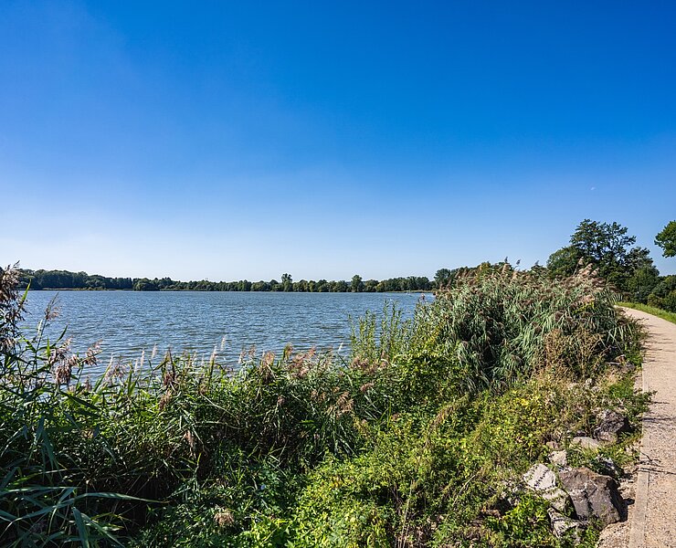 Stausee Glauchau ()