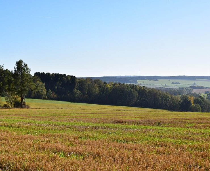 Ausblick vom Auerbacher Rundweg (Corinna Bergelt)