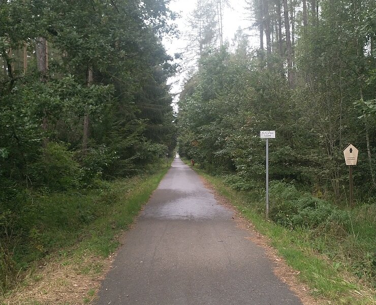 Trünziger Staße durch den Werdauer Wald bei Leubnitz ()