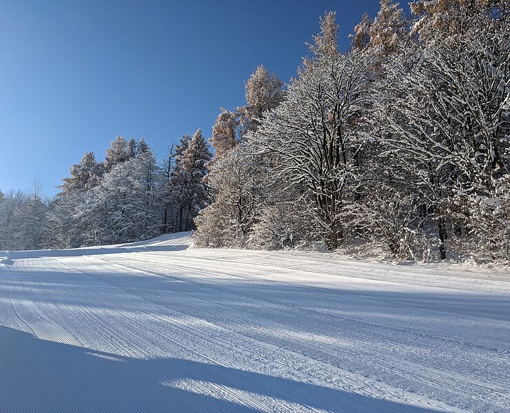 Skilift und Rodelhang Seiffen_Foto Lorenz_Erzalm ()