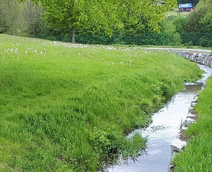 Floßgraben im Kurpark in Bad Schlema ()
