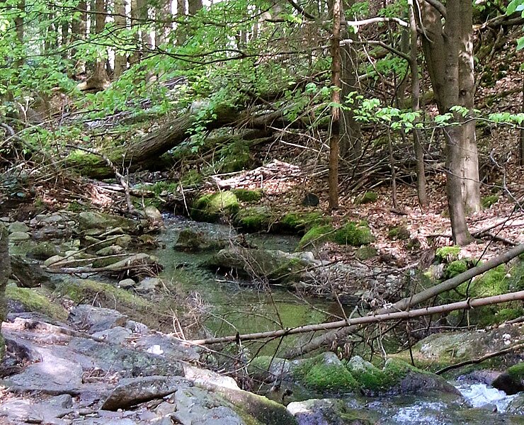 Floßmeister Rungstocktal (Matthias Drechsel)