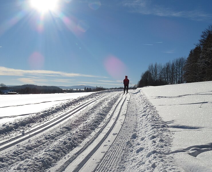 Langlauf Geyer ()