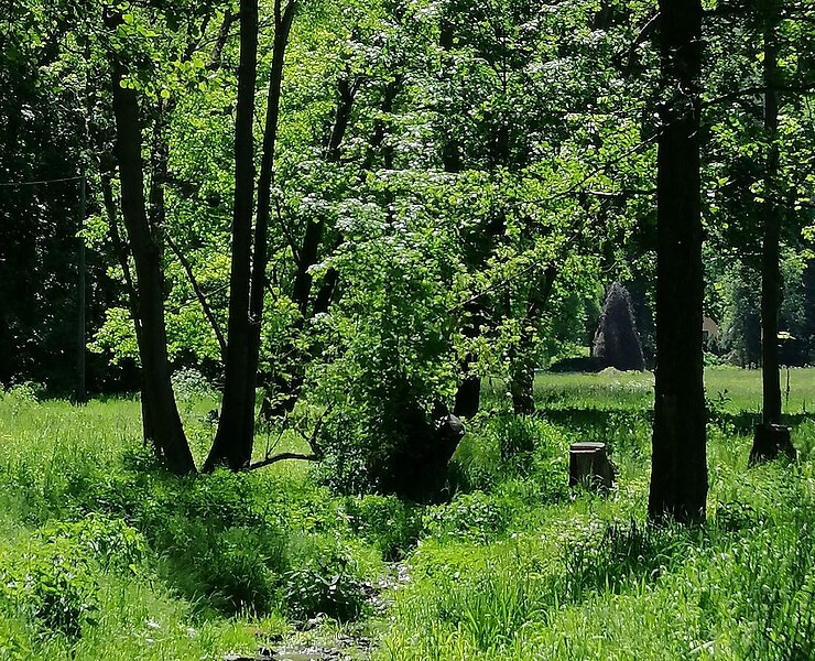 Trebnitzgrund bei Oberschlottwitz ()