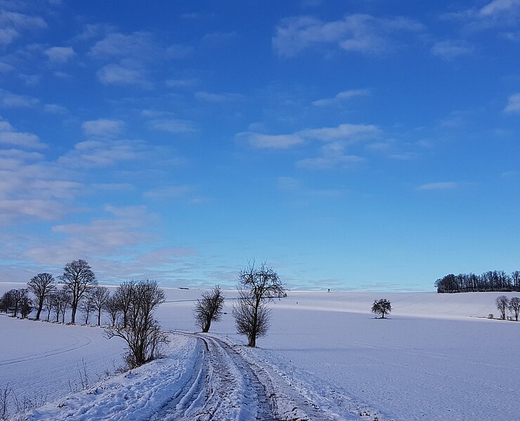 Panoramarundweg und Fernwanderweg Ostsee-Saaletalsperren - zwischen Hohenfichte und Augustusburg (Doreen Fiebig)