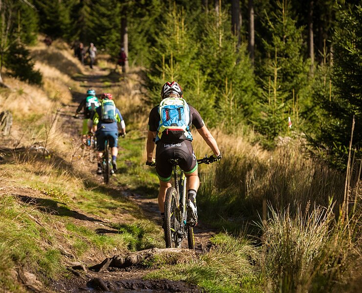 Mountainbiken im Erzgebirge ()