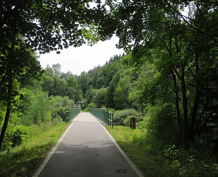 Mulderadweg zwischen Eibenstock und Aue (Reinhard Manzelmann)