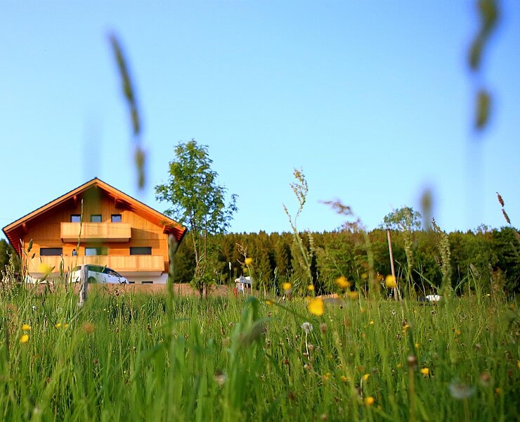 Haus ()