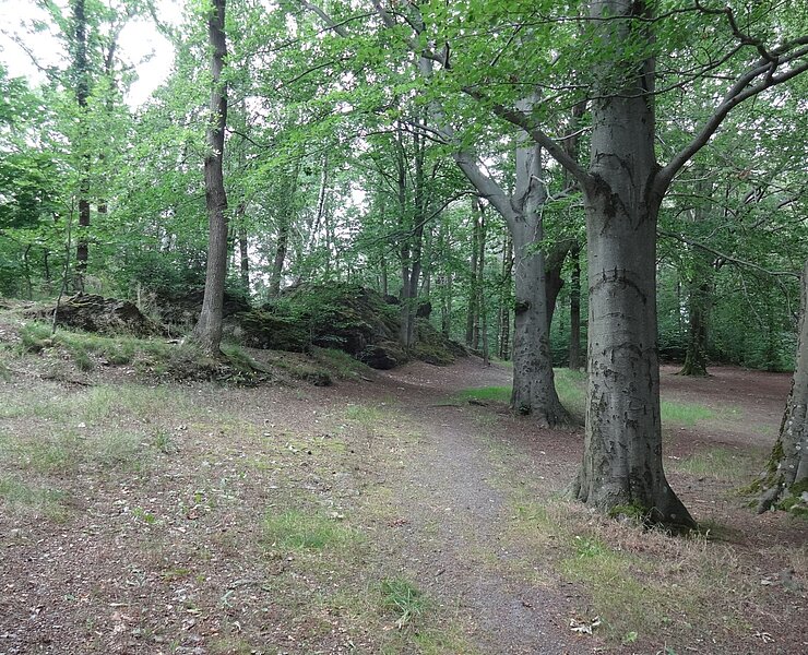 Stadtpark Thum ()