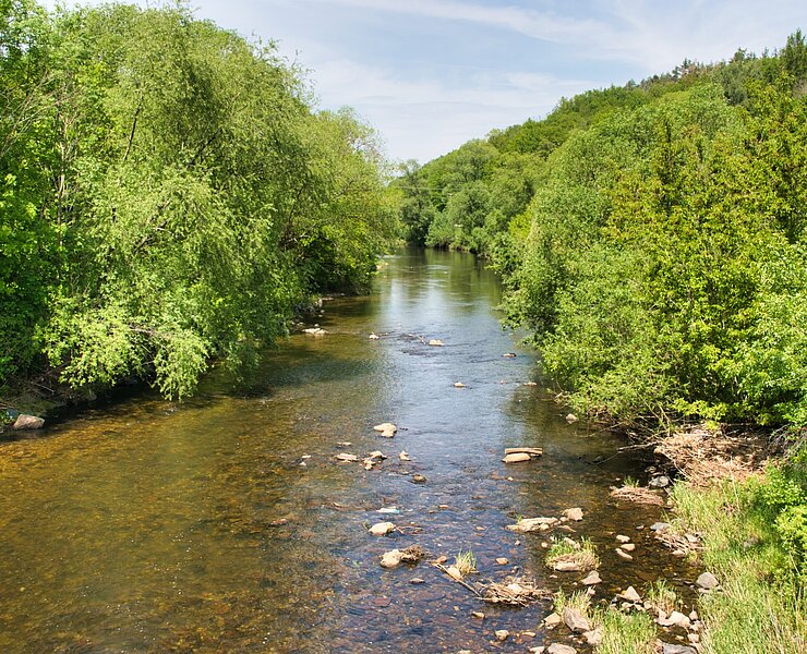 Zwickauer Mulde - Hängebrücke Thierbach-Zinnberg (Bastian Rakow)