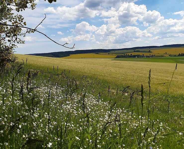 Hormersdorf ()