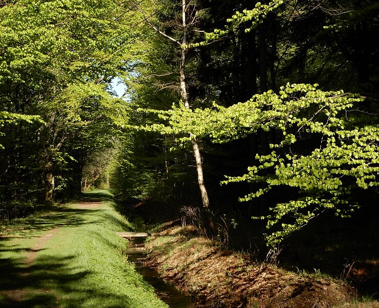 Aschergraben (Egbert Kamprath)