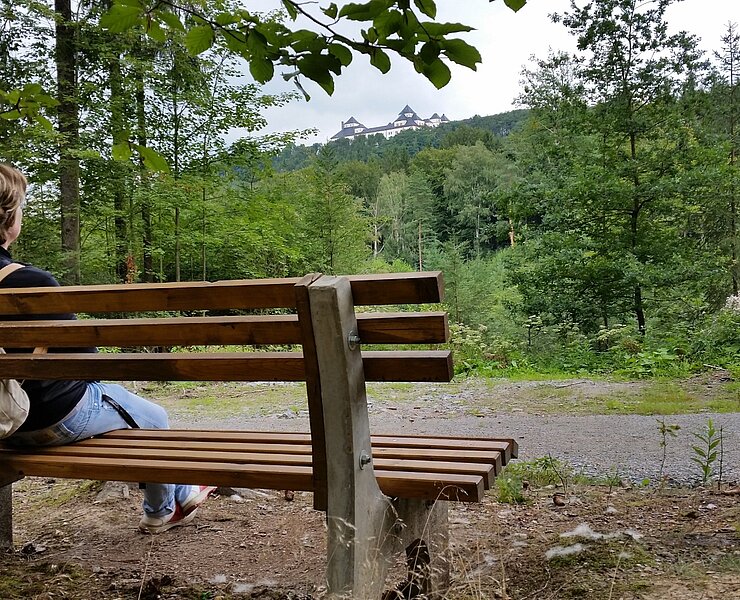 Blick zum Schloss (Doreen Fiebig)
