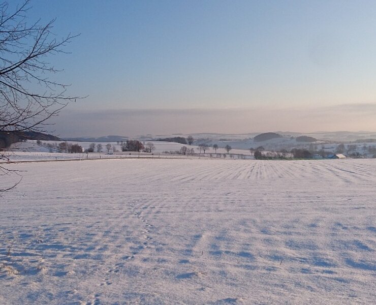 Winterlandschaft in Drebach (Corinna Bergelt)